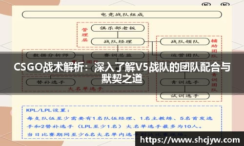 雷竞技官网