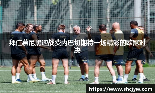雷竞技