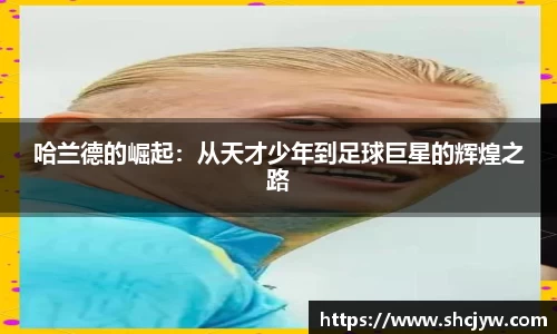 雷竞技官网